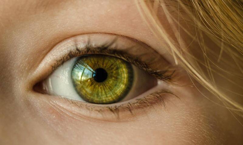Die Augen sind im Alltag zahlreichen Belastungen ausgesetzt und müssen geschützt werden.